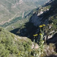 img_20160725_171611
