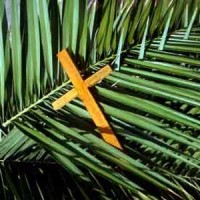 palm-sunday-usa1